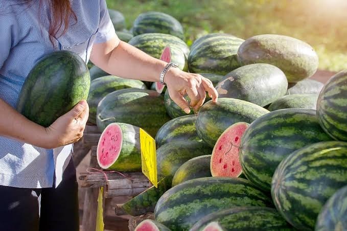 Kako odabrati najslađu lubenicu: Isprobajte popularni trik "dva prsta"
